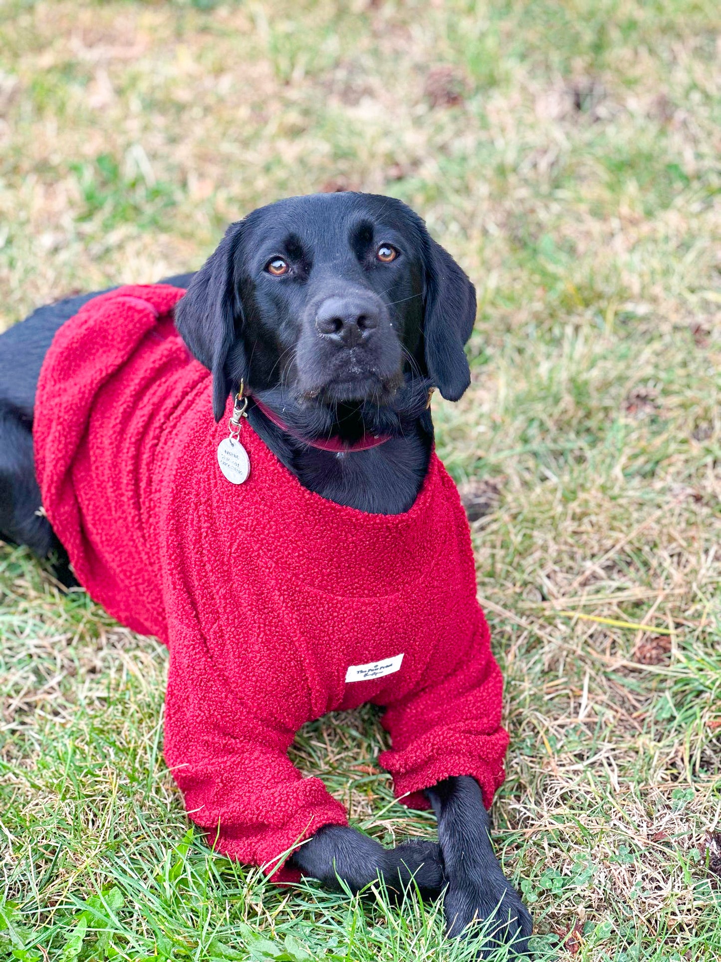 The Mulberry Teddy Fleece