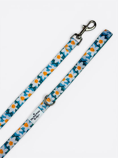 Daffodil Daze Lead