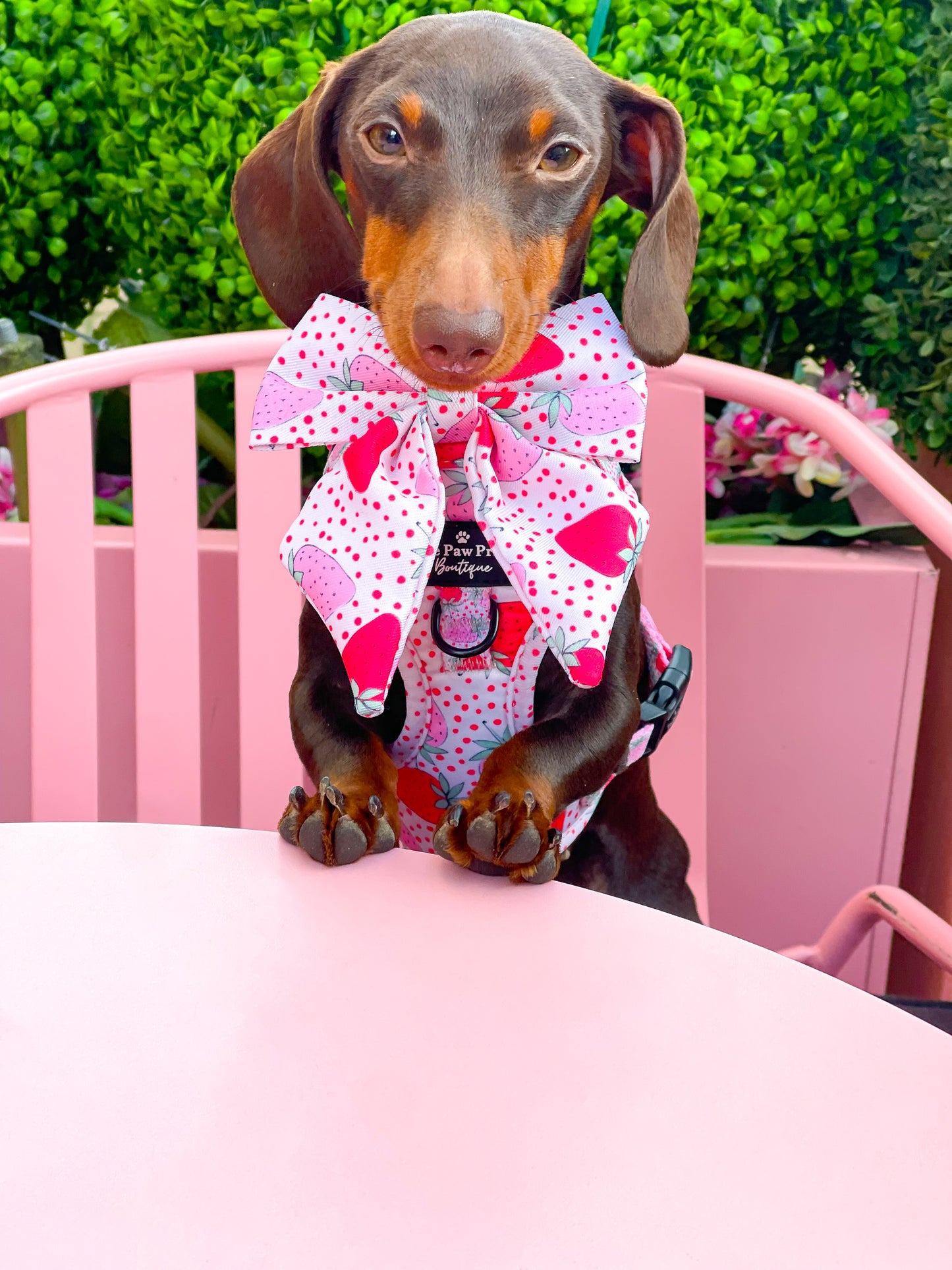 The Sweet Strawberries Bow Tie