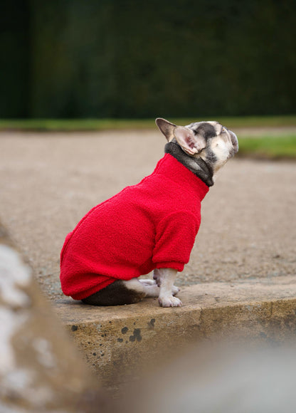 Teddy Fleece - Red Berry