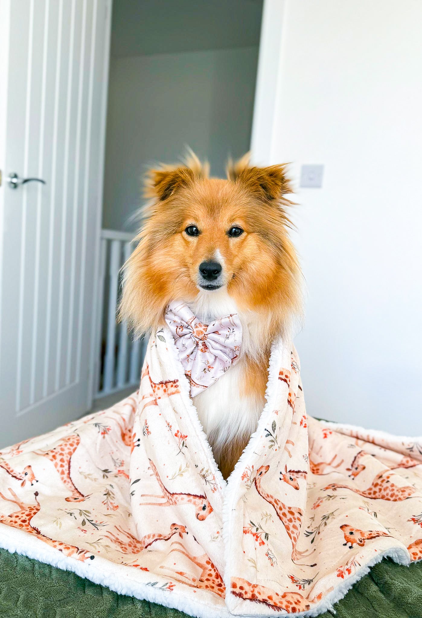 The Graceful Giraffe Bow Tie