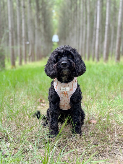 The Graceful Giraffe Adjustable Harness