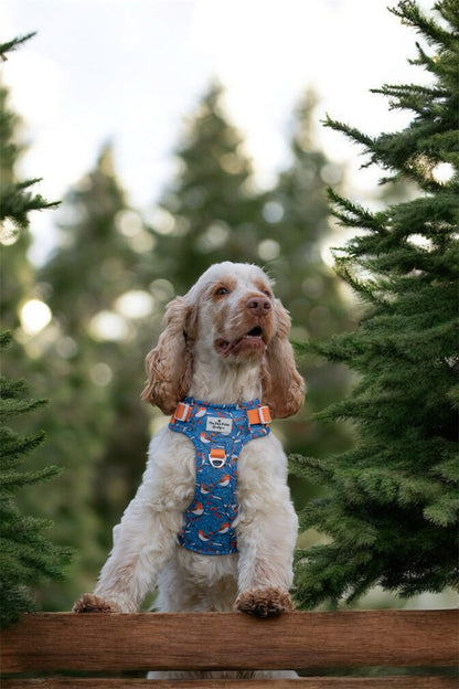 Seasons Tweetings Adventure Paws Harness