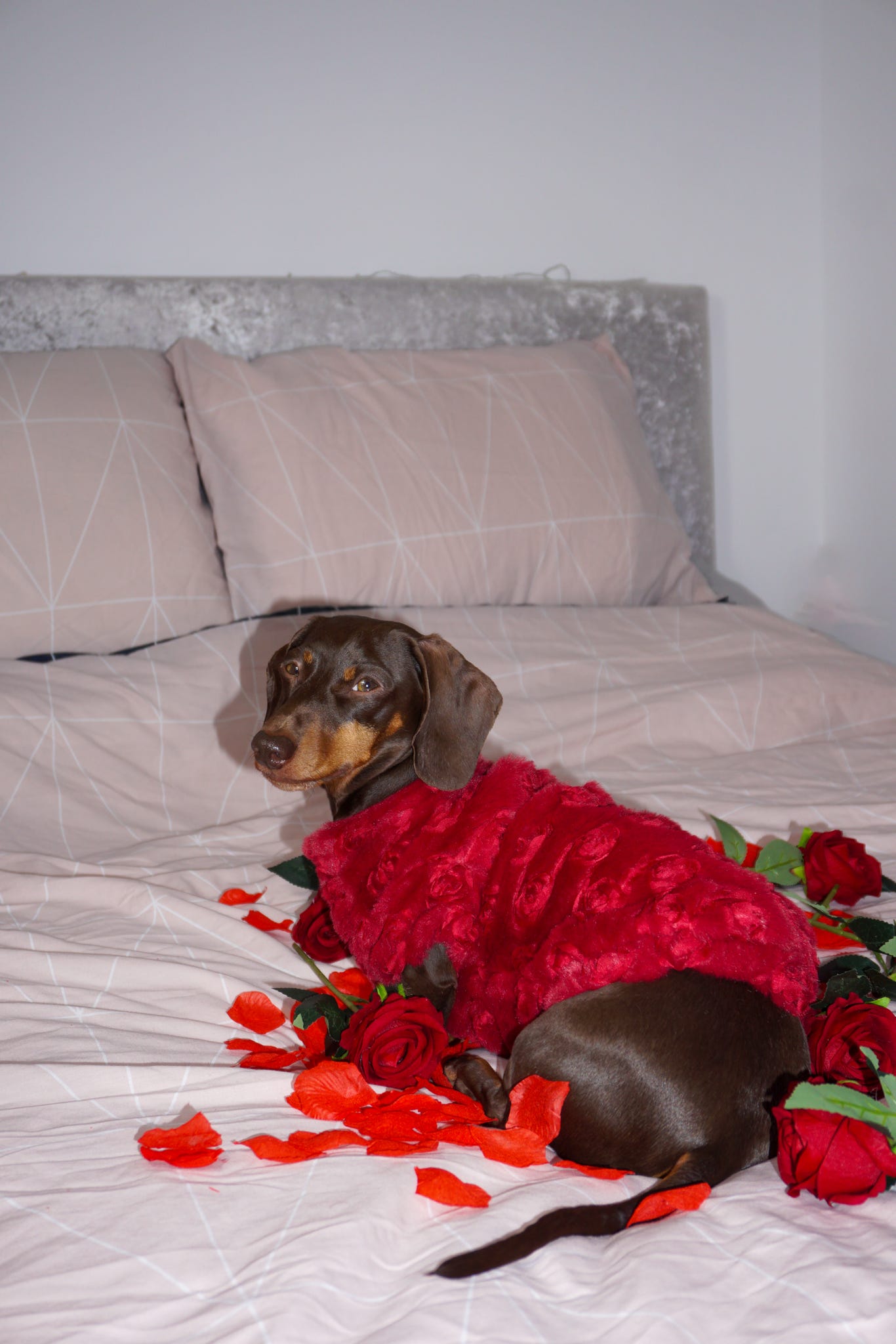 The Roses Fleece - Red