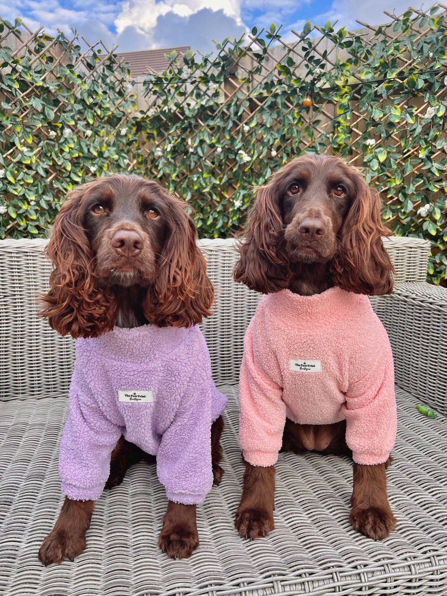 The Baby Pink Teddy Fleece
