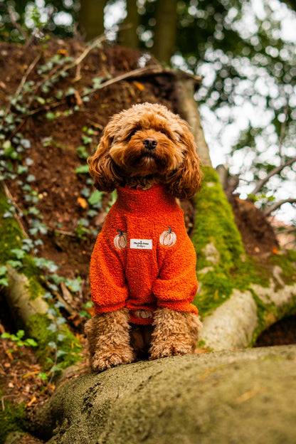 The Embroidered Pumpkins Teddy Fleece