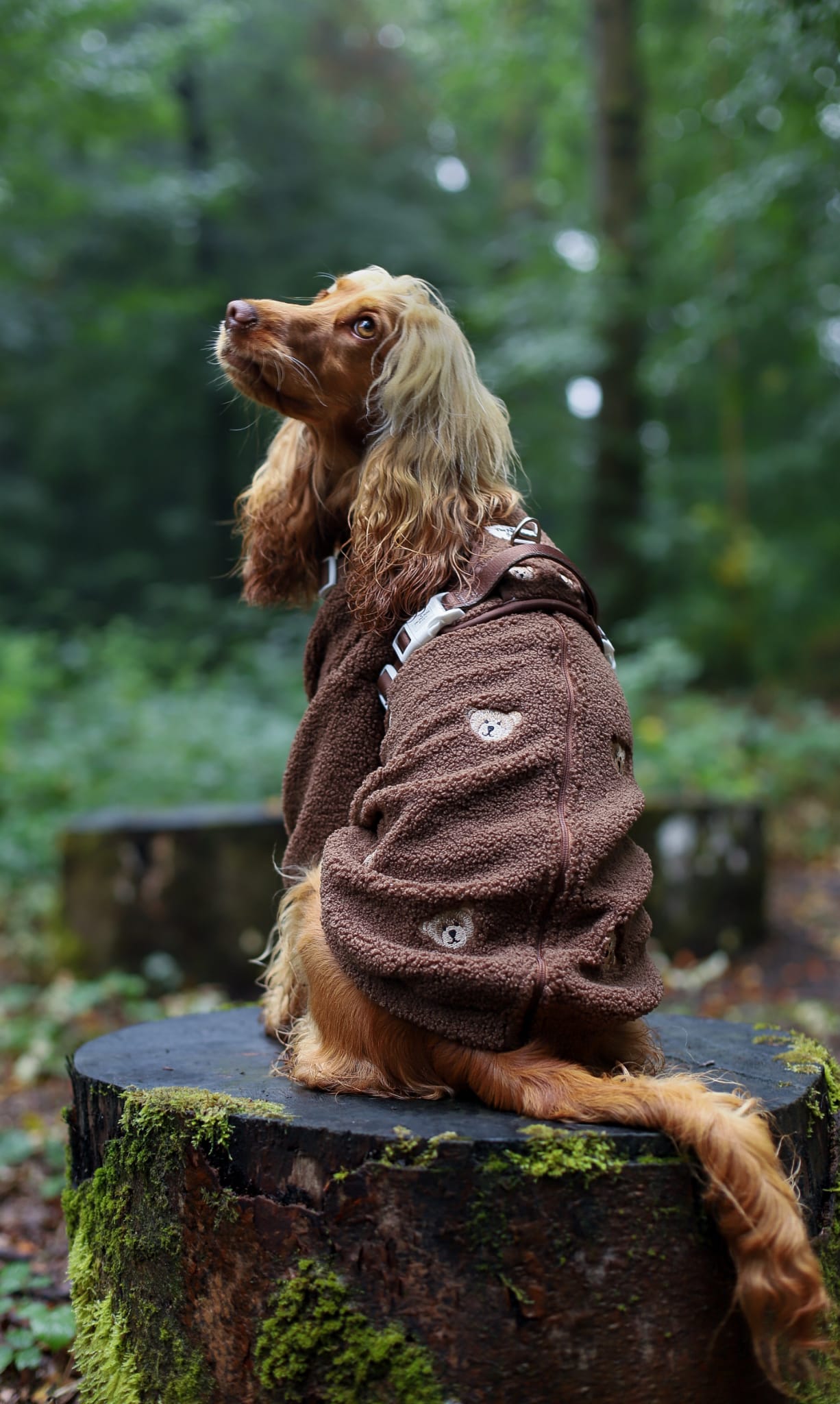 The Embroidered Little Bear Cub Teddy Fleece