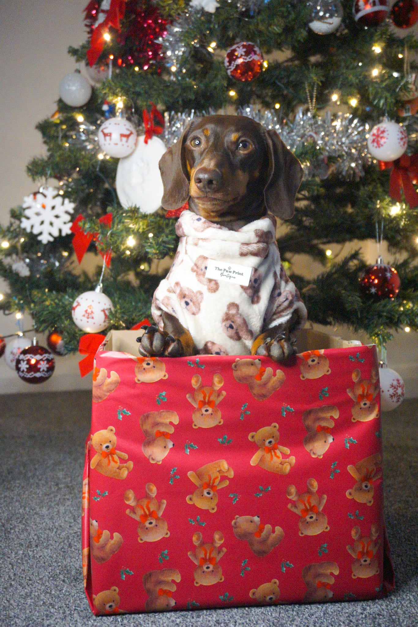 Little Bear Cub Snuggle Fleece