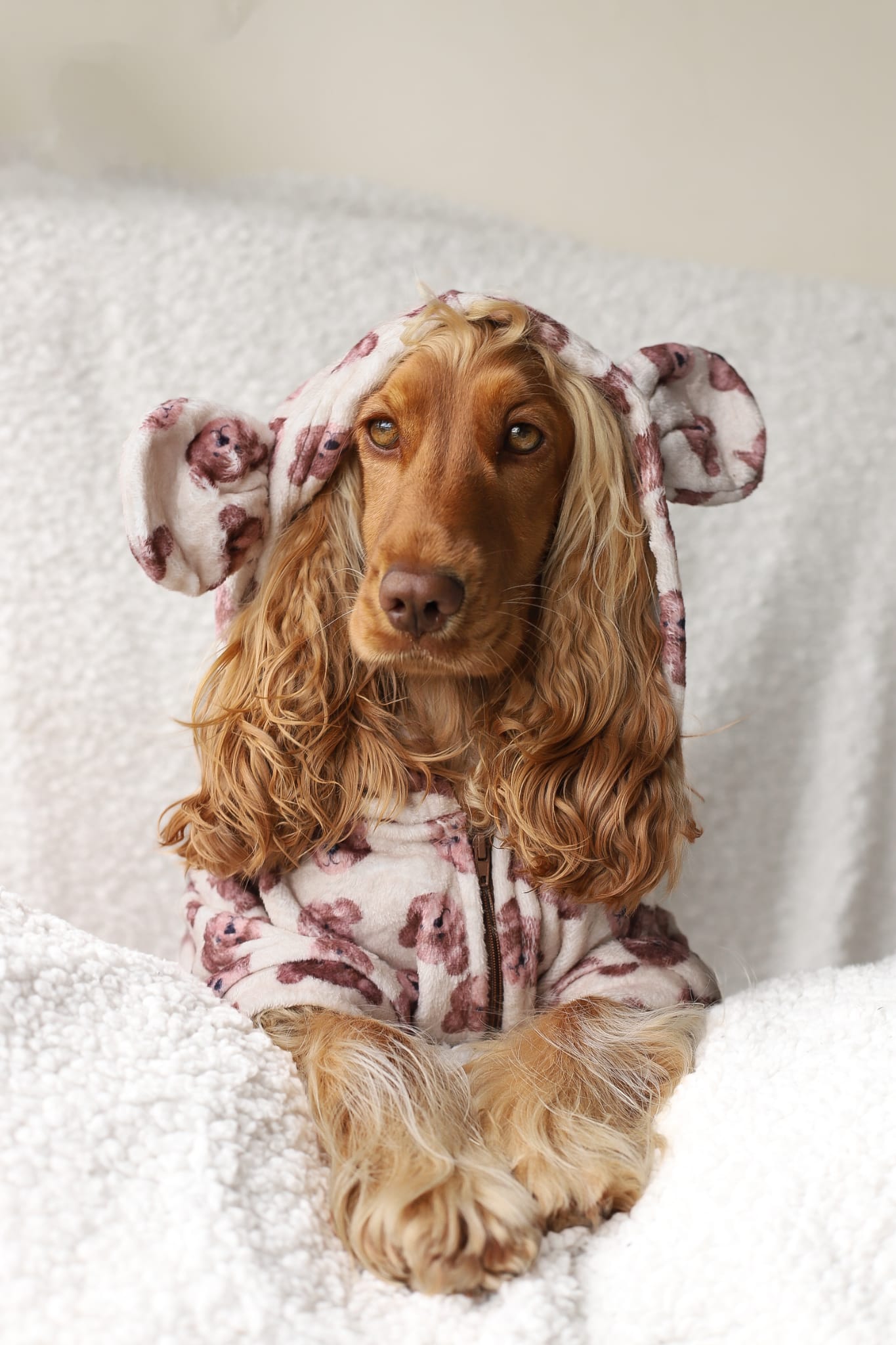 The Little Bear Cub Snuggle Fleece (With Hood & Ears)