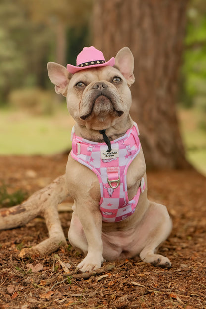 Cowgirl Cutie Adventure Paws Harness