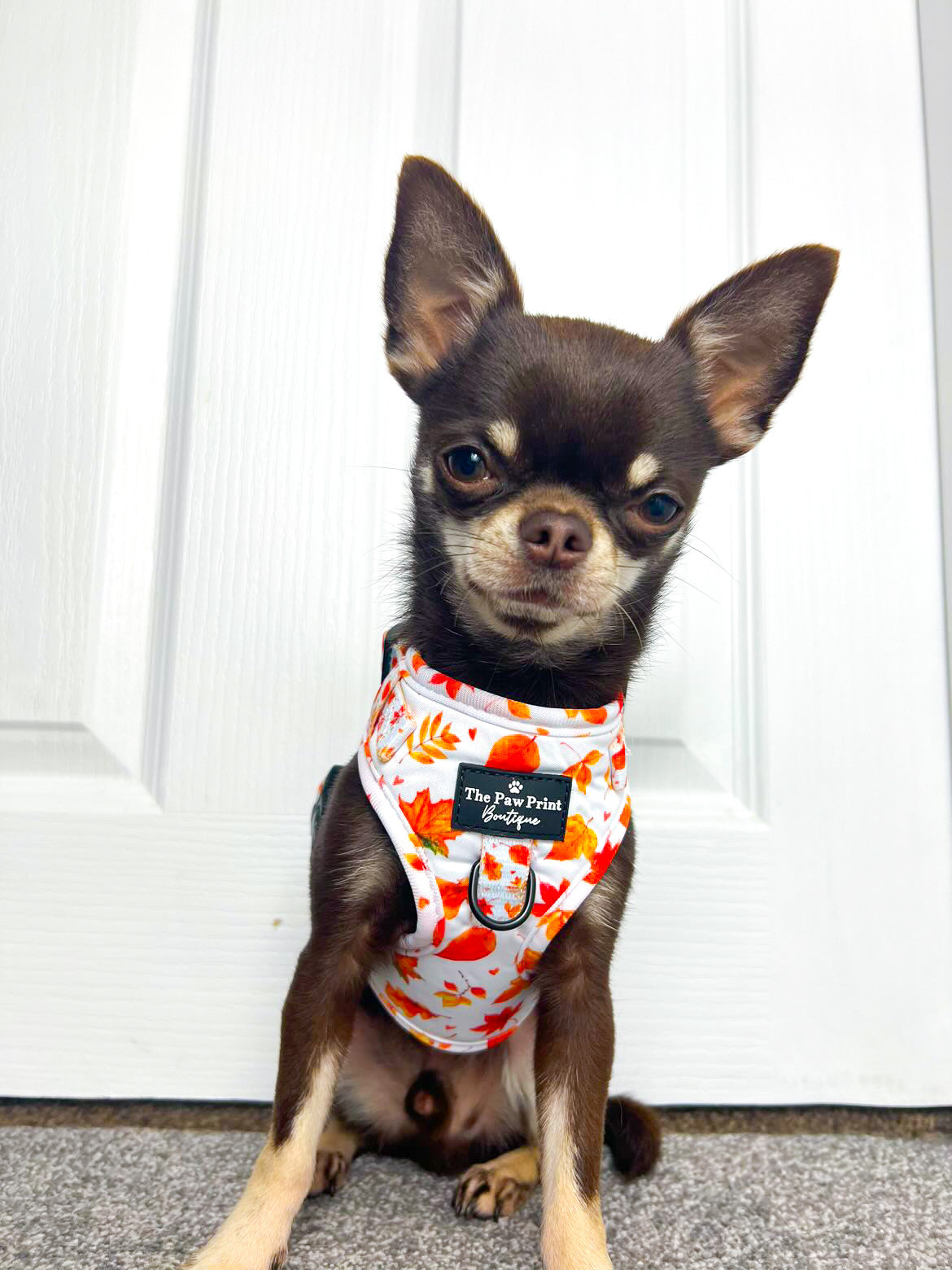 The UnbeLEAFable Adjustable Harness