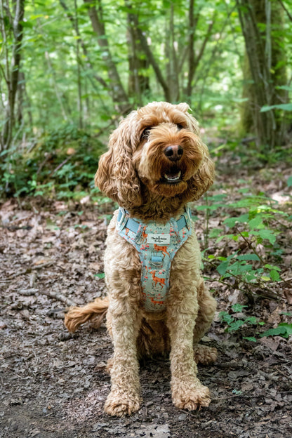 Bambi in Bloom Adventure Paws Harness