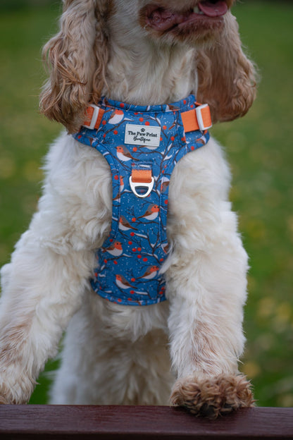 Seasons Tweetings Adventure Paws Harness