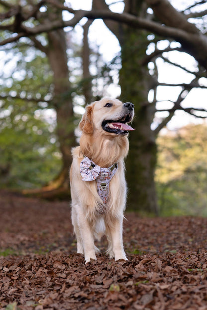 Whimsical Wildlife Bow Tie