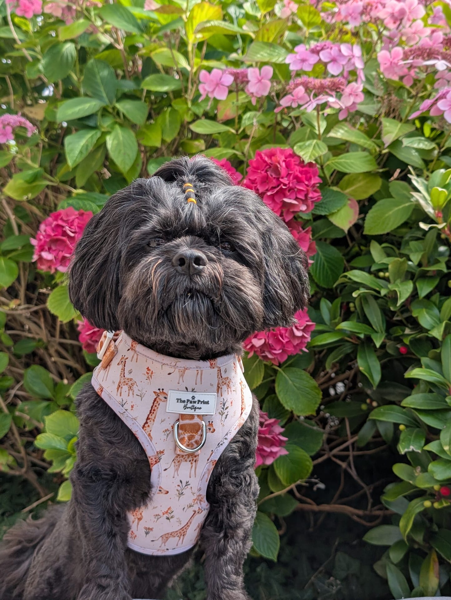 The Graceful Giraffe Adjustable Harness
