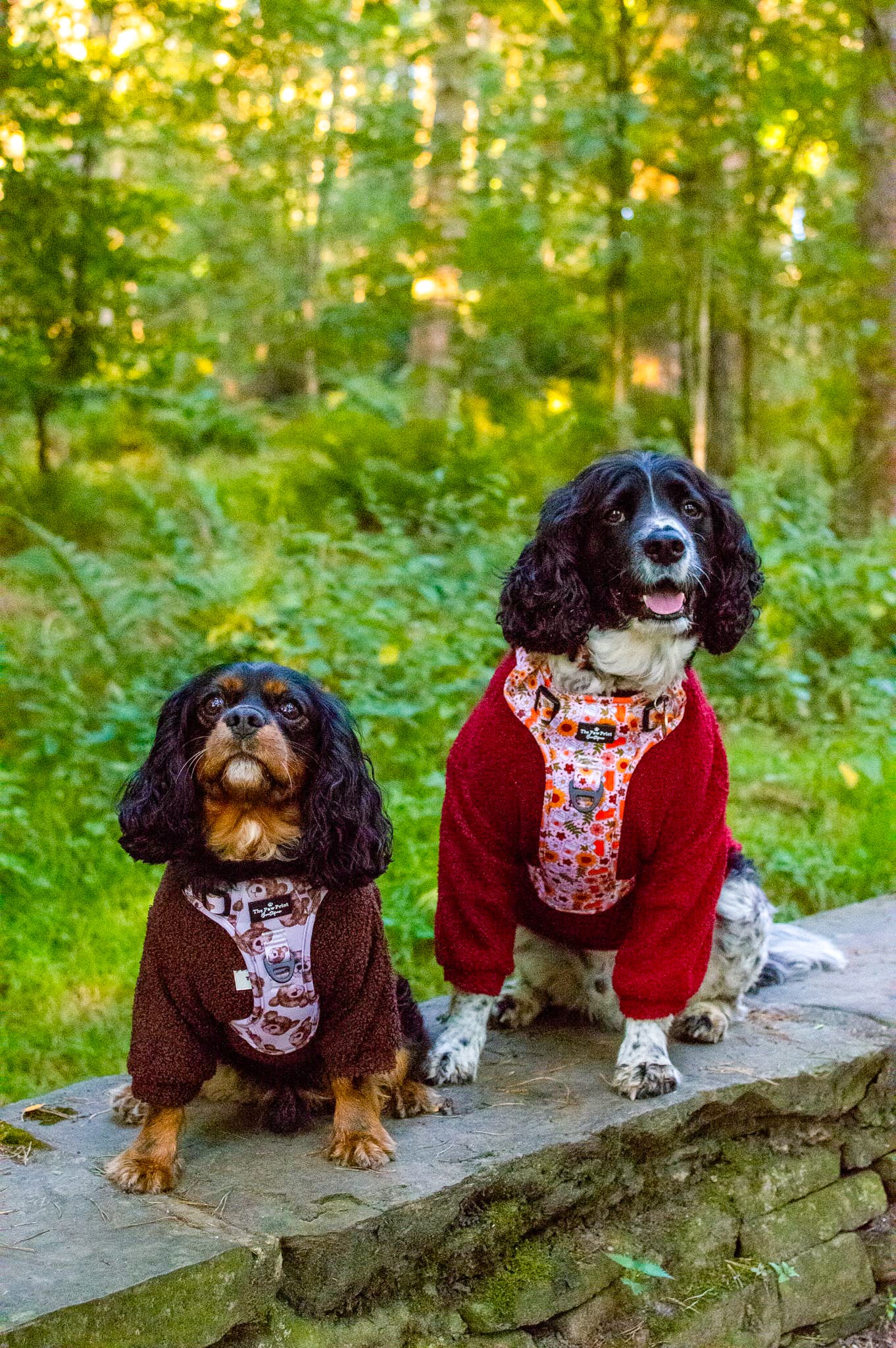The Mulberry Teddy Fleece