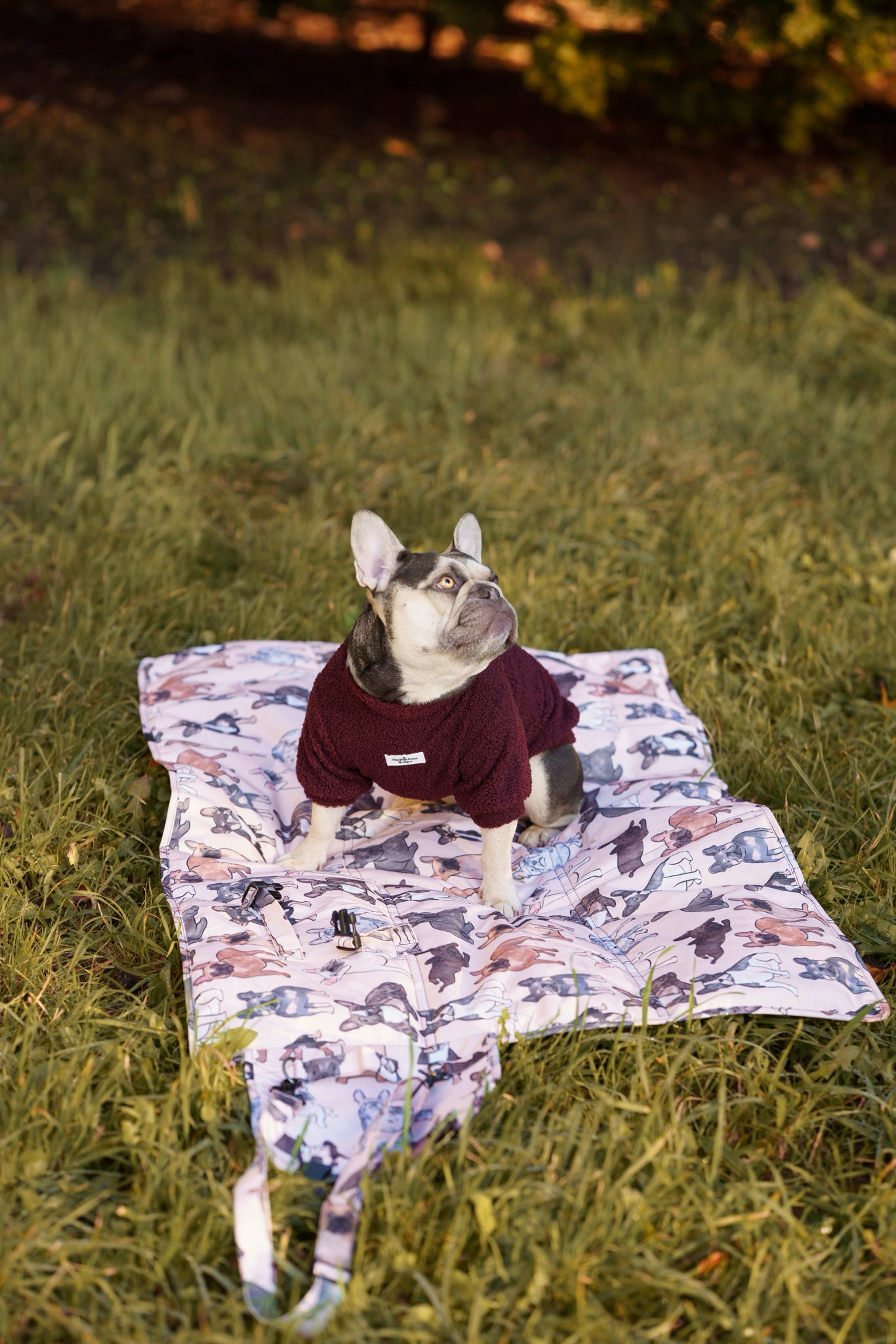 The French Bulldog Travel Mat