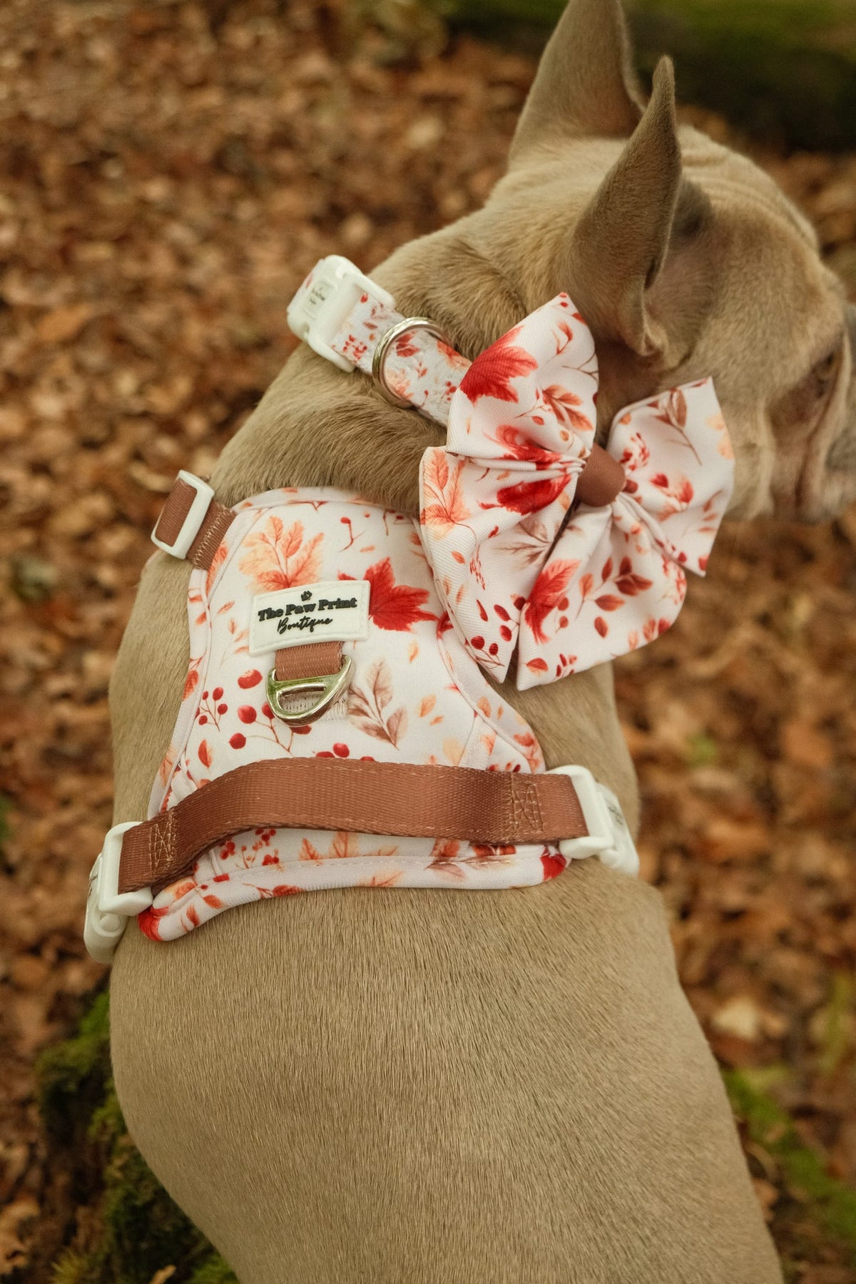 Maple Meadows Bow Tie