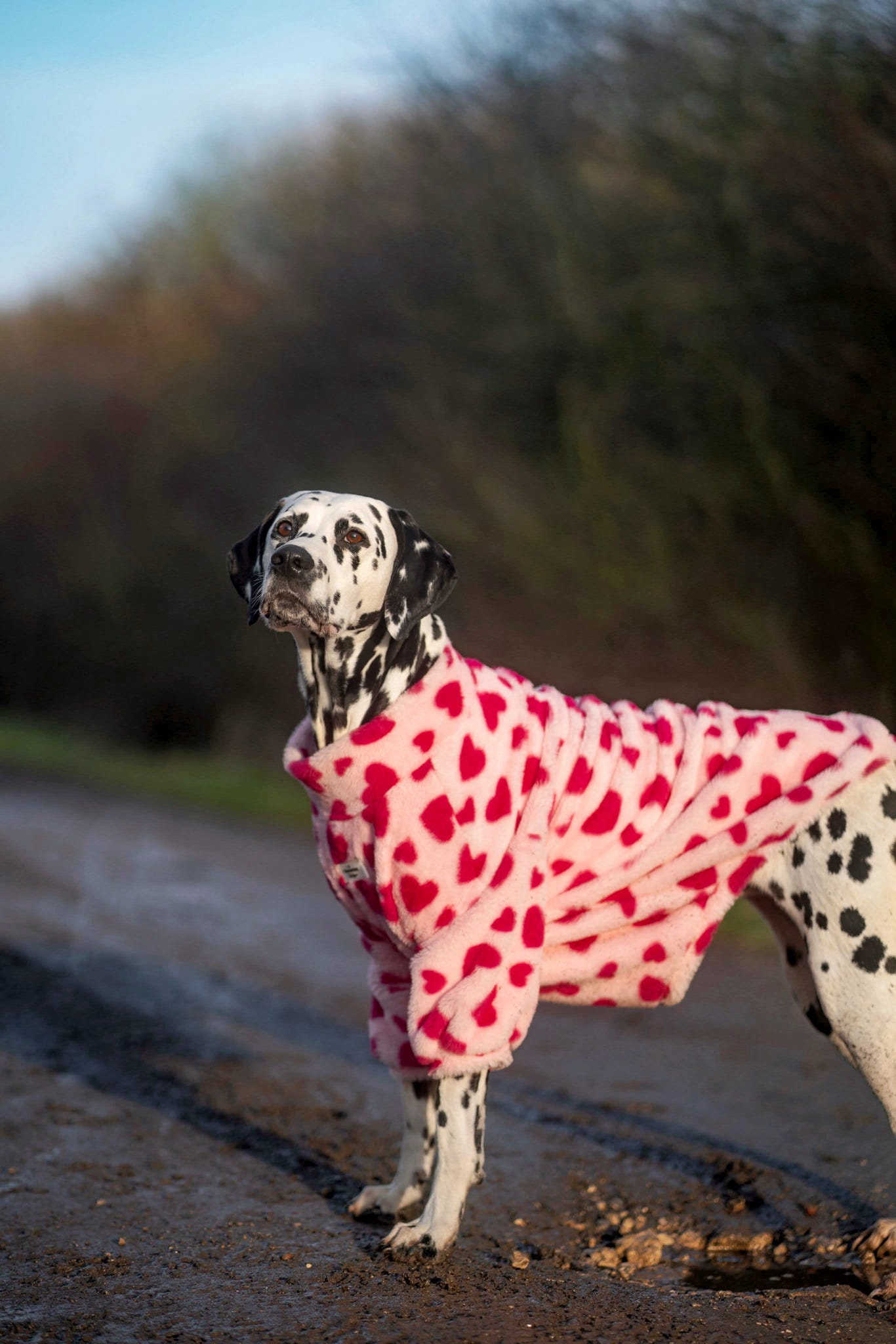 The Love Hearts Fluffy & Fabulous Fleece