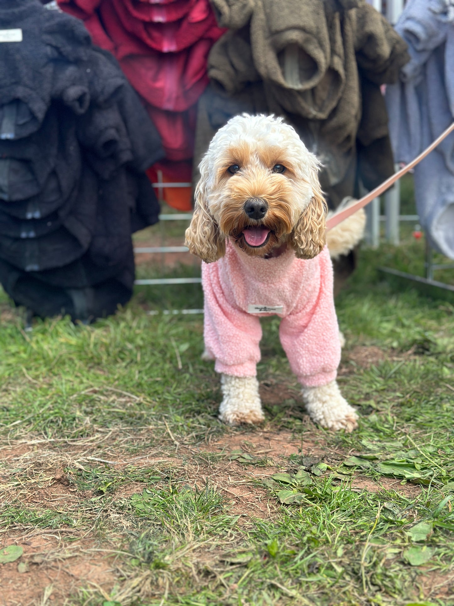 The Baby Pink Teddy Fleece