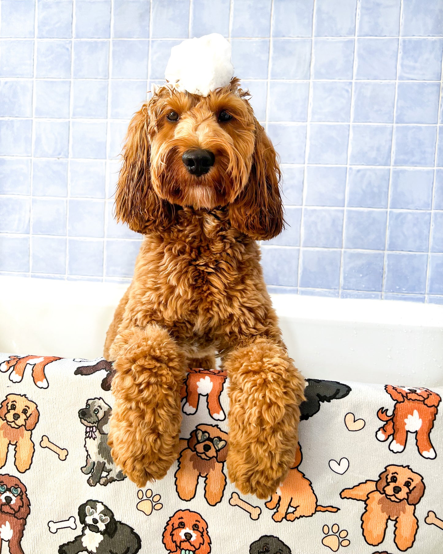 The Poodles & Doodles Dog Towel - Grey