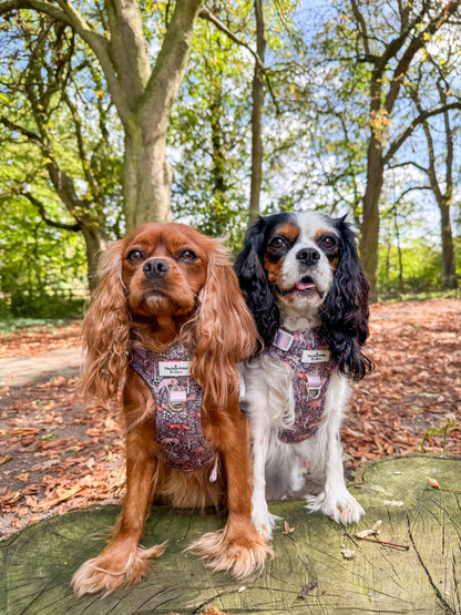 Woodland Wilderness Adventure Paws Harness