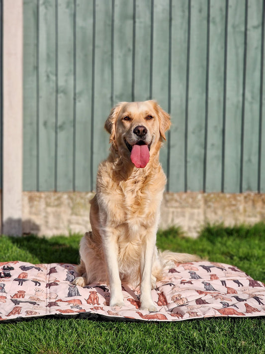 The Labrador / Retriever Travel Mat