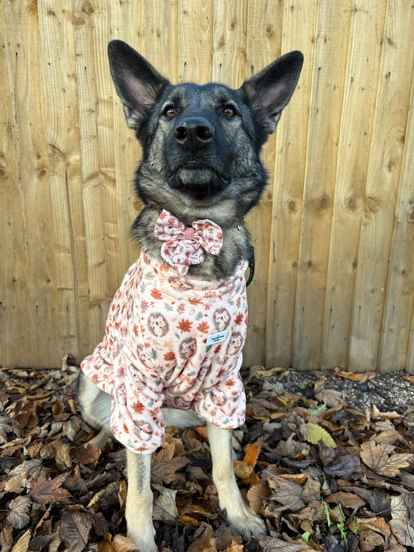 Spike the Hedgehog Snuggle Fleece