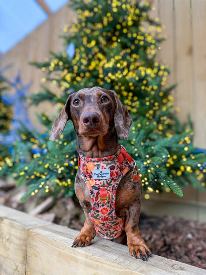 Winter Scents Adventure Paws Harness