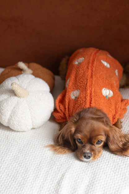 The Embroidered Pumpkins Teddy Fleece