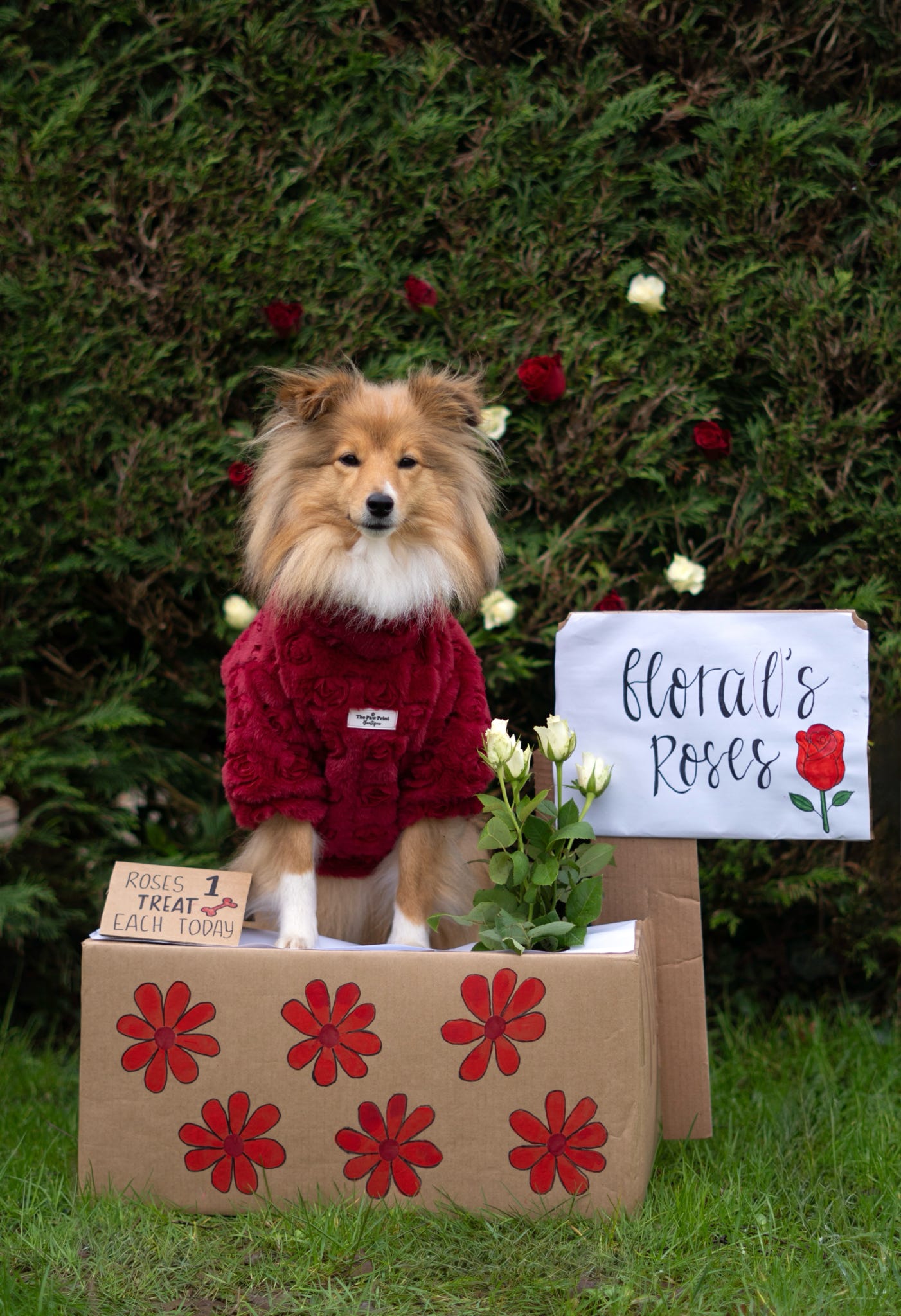 The Roses Fleece - Red