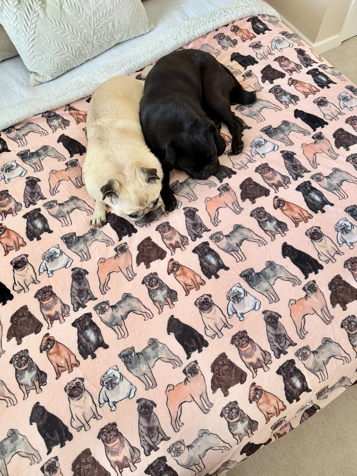 The Pug Human Blanket