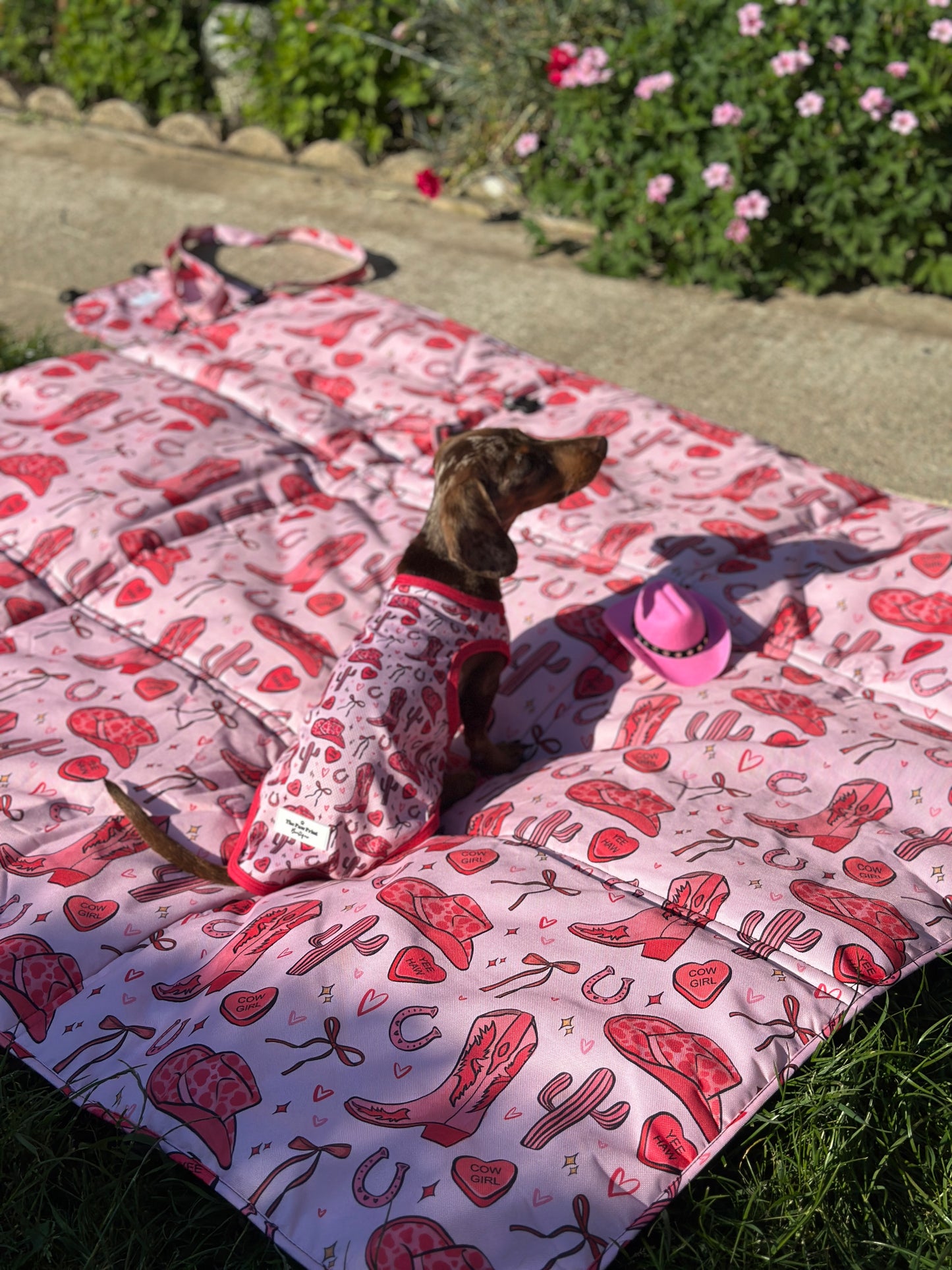 The Giddy up Pup Picnic Mat