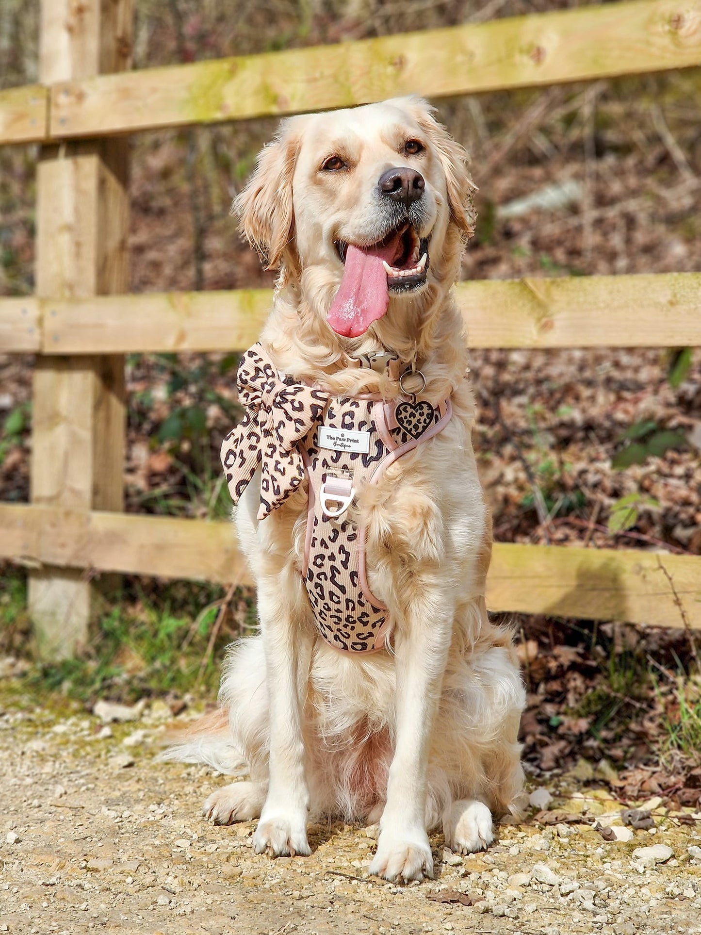 The Luxe Leopard (Beige) Bow Tie