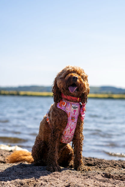 Under the Sea Paws Harness