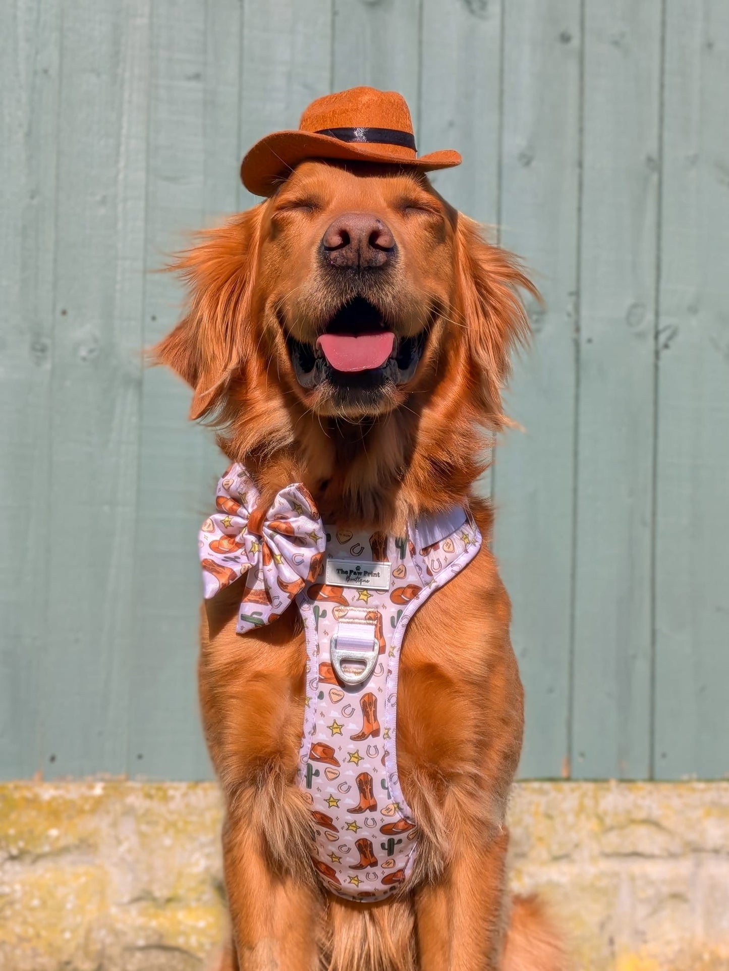 The Howdy Pawtner Bow Tie