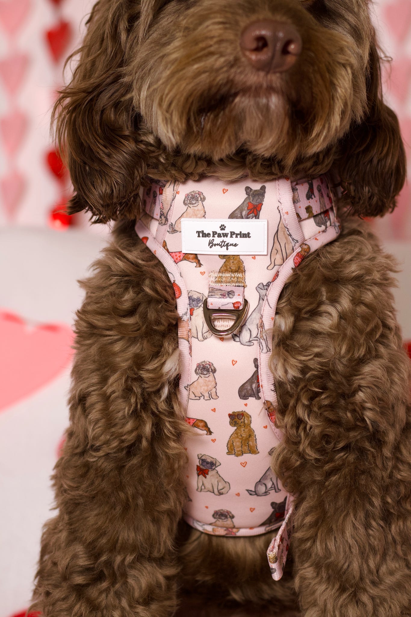 The Puppy Love Adventure Paws Harness