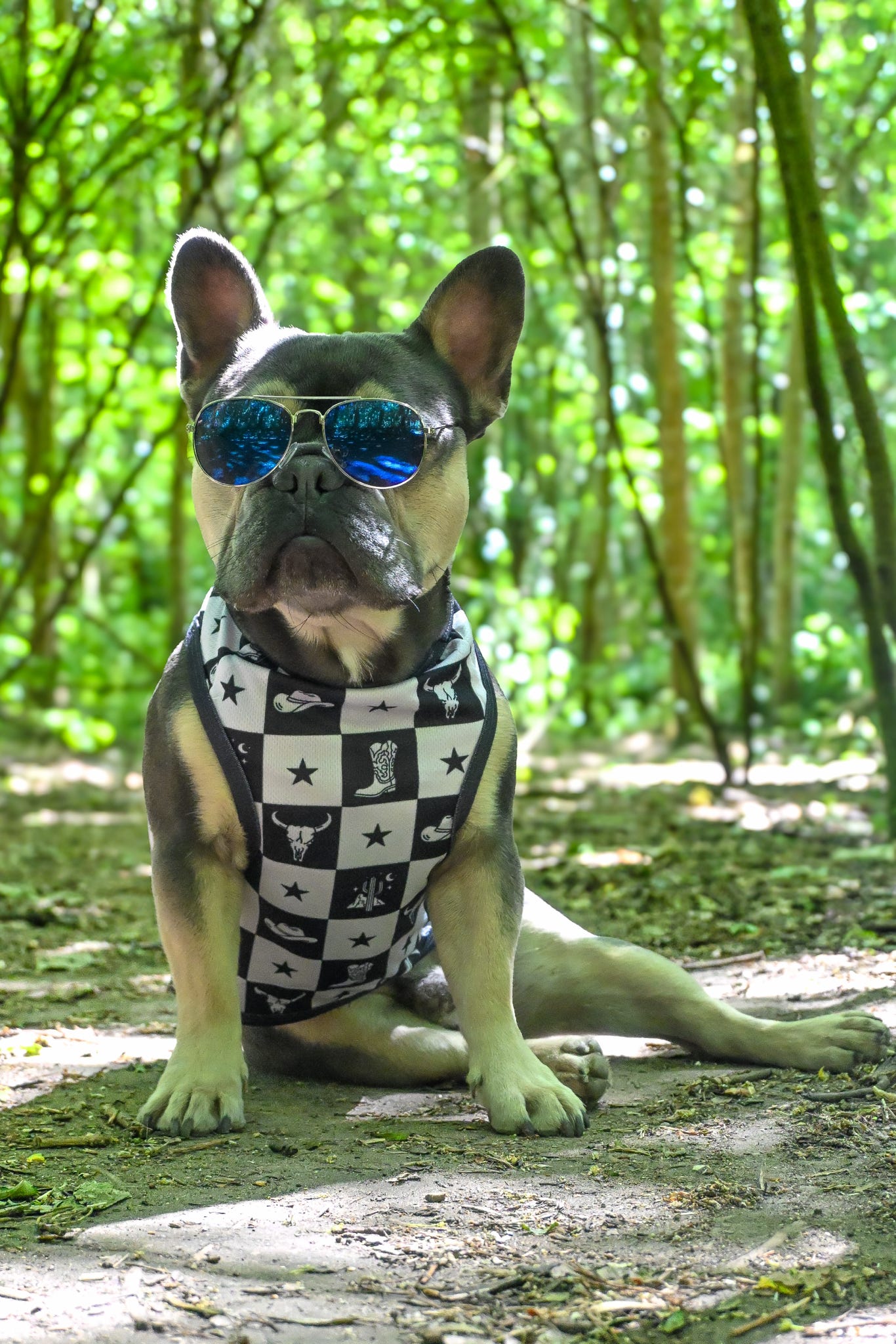 The Wild West Cooling Vest