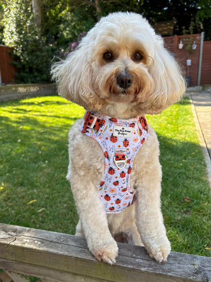 Ladybird Lane Adventure Paws Harness