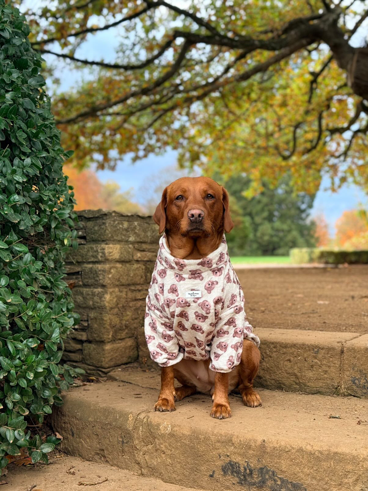 Little Bear Cub Snuggle Fleece