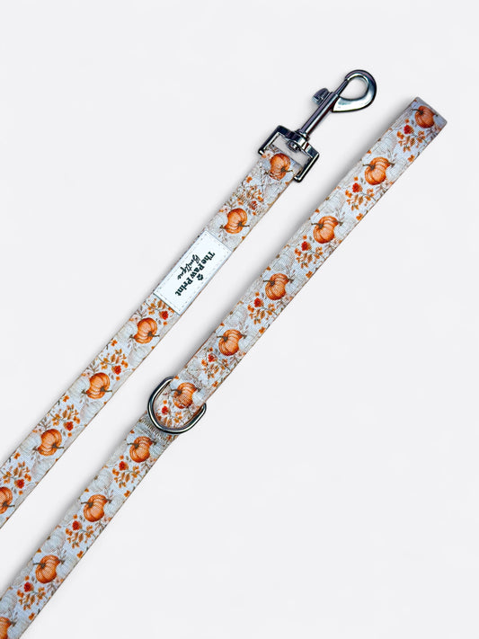 Pupkin Patch Lead