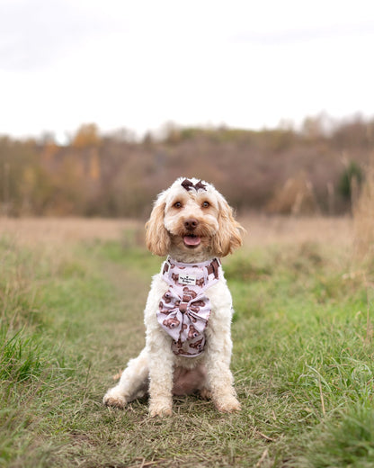 The Little Bear Cub Adventure Paws Harness