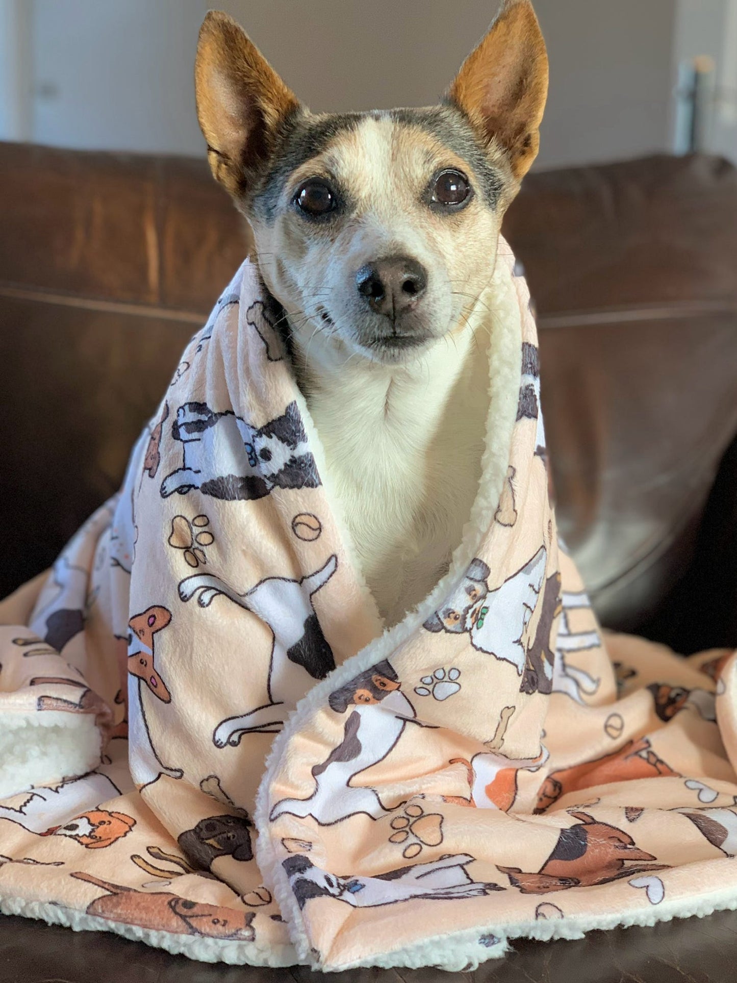 The Jack Russell Dog Blanket - Beige
