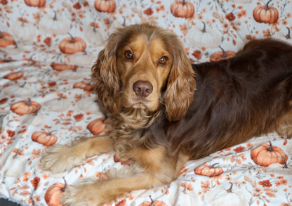 Pupkin Patch Human Blanket