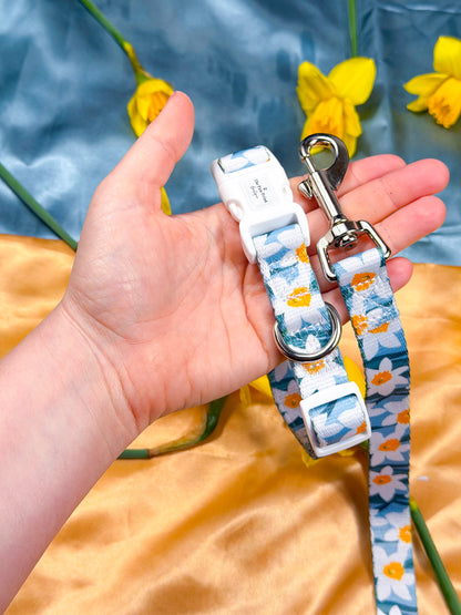 Daffodil Daze Lead