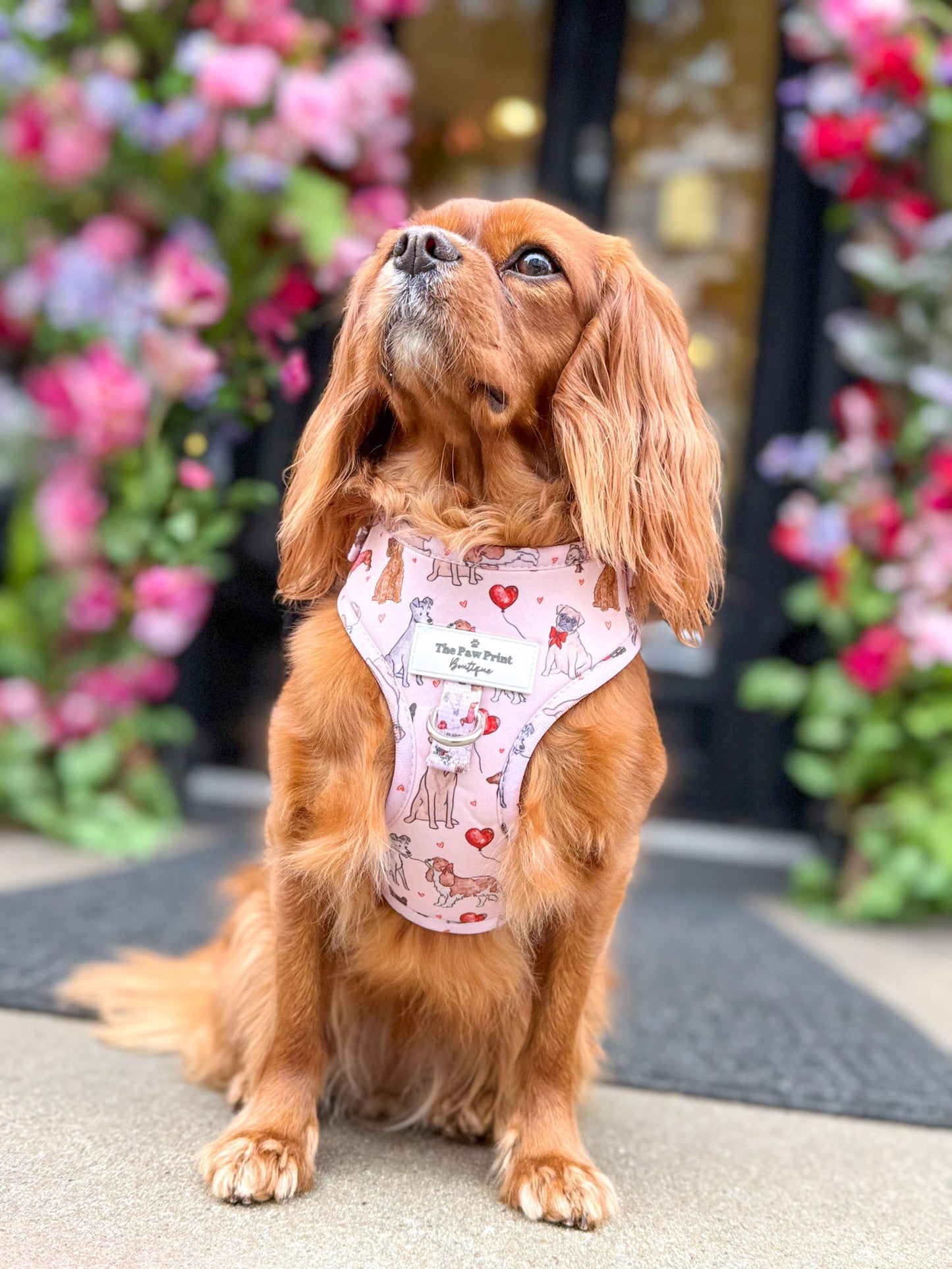 The Puppy Love Adjustable Harness