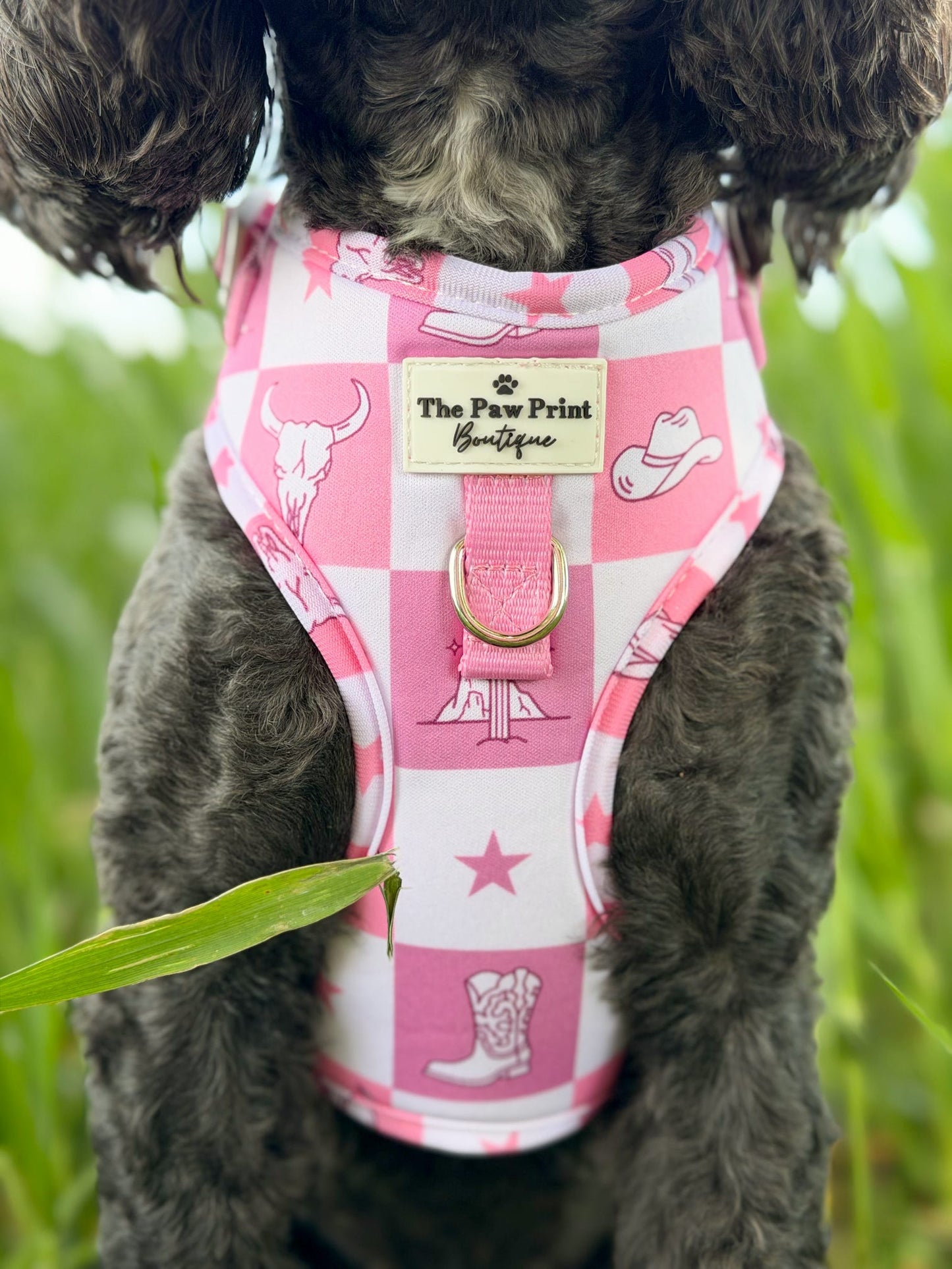 Cowgirl Cutie Adjustable Harness