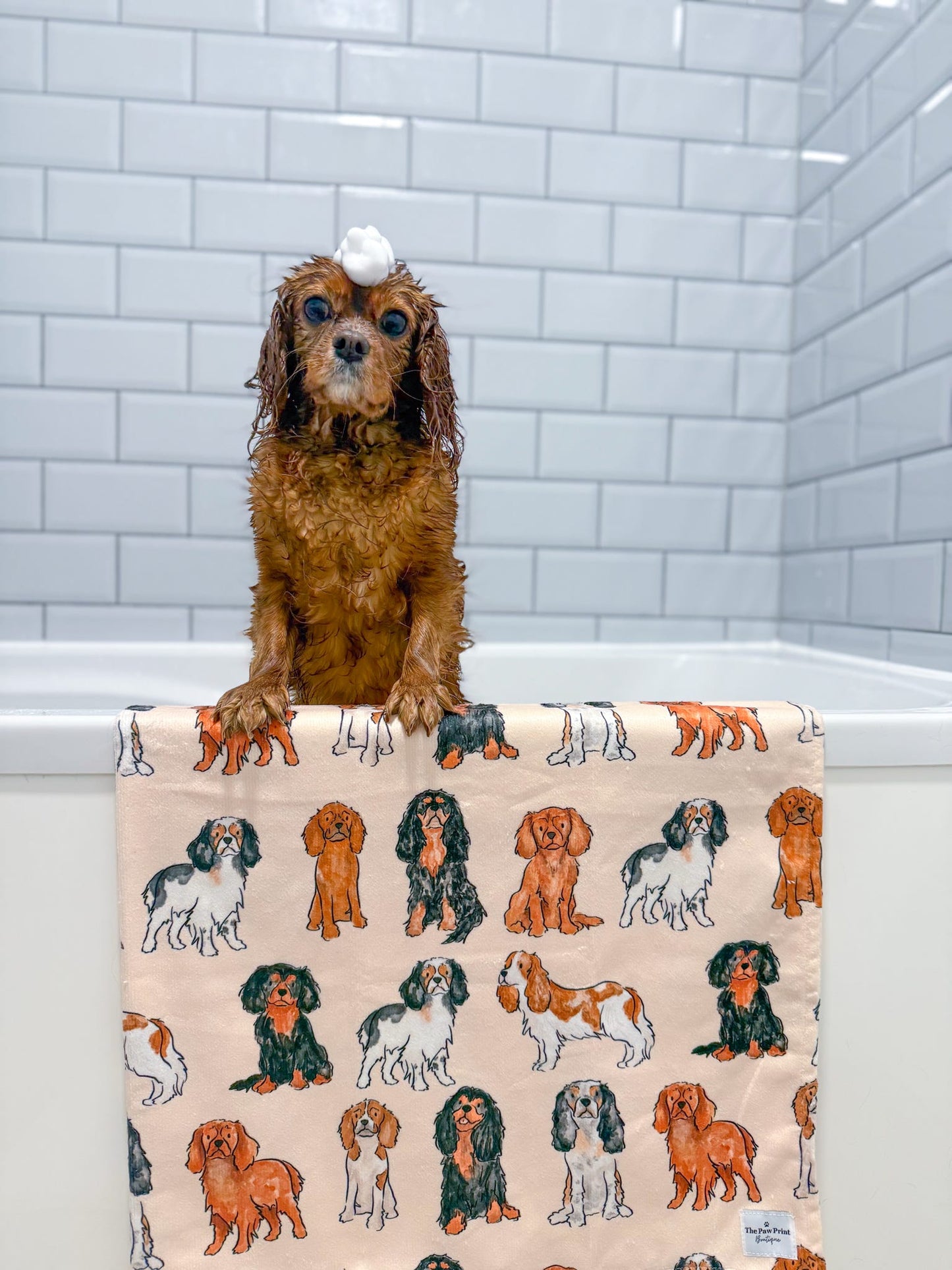 The Cavalier Dog Towel