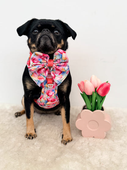 The Tulip Field Adventure Paws Harness