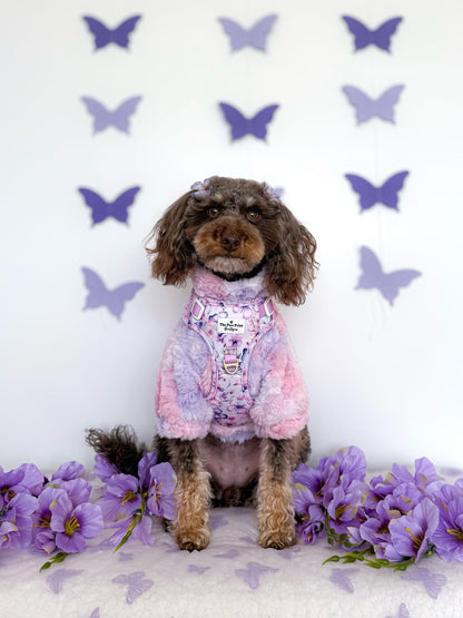 Butterfly Bliss Adventure Paws Harness